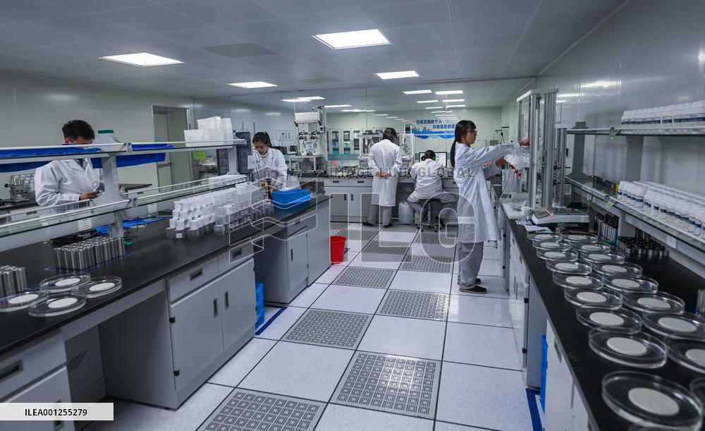 CHINA-ZHEJIANG-PRIVATE ENTERPRISES (CN)