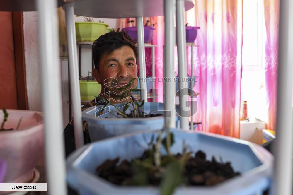 (FOCUS) CHINA-XINJIANG-TAXKORGAN-LIFE-CHANGE (CN)