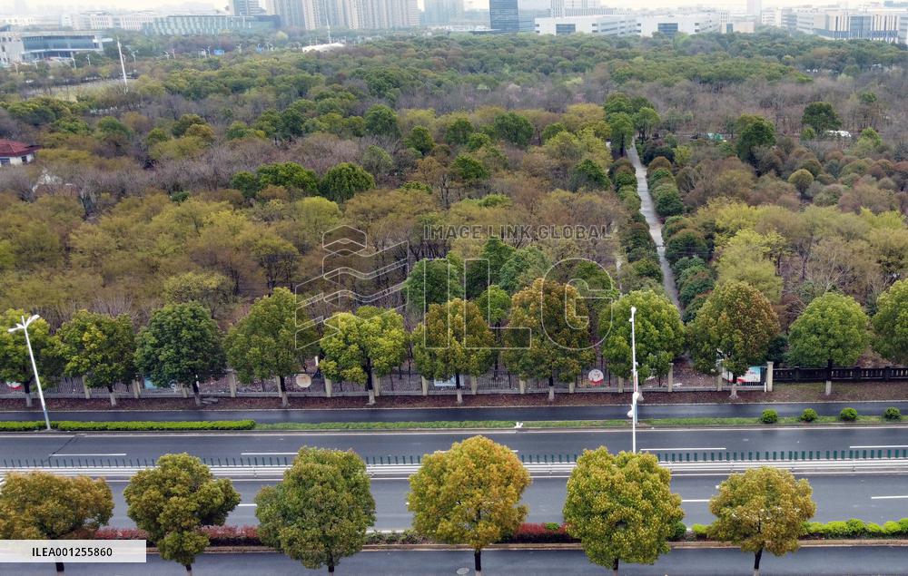 CHINA-SHANGHAI-GREEN SPACE (CN)