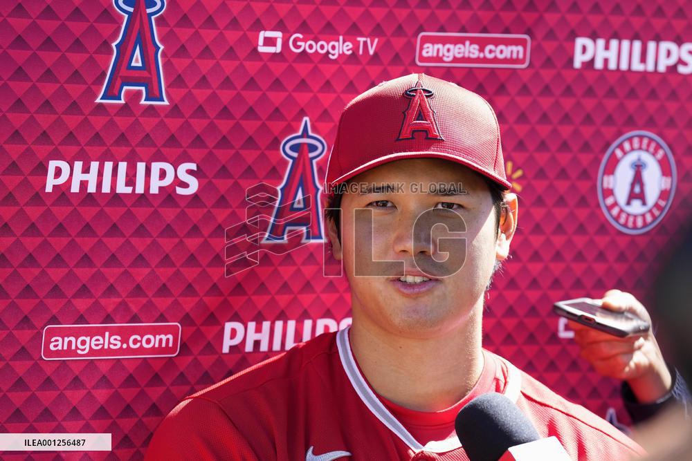 Baseball: MLB spring training