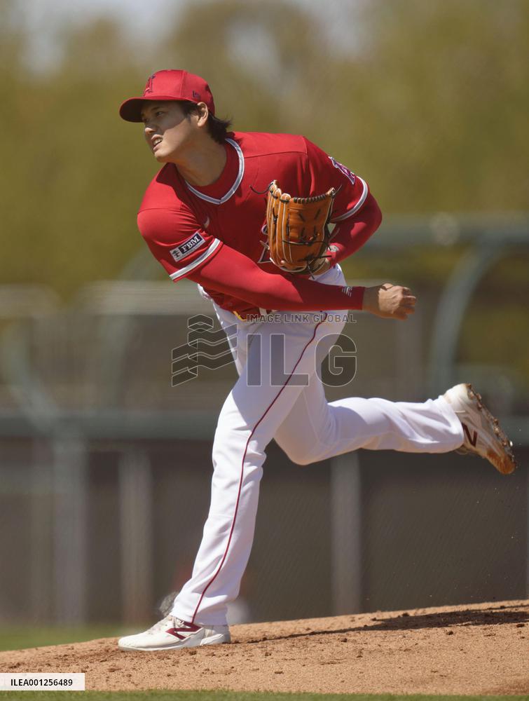 Baseball: MLB spring training