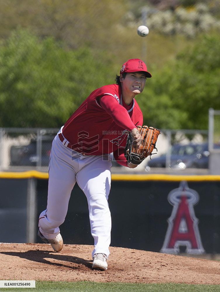 Baseball: MLB spring training