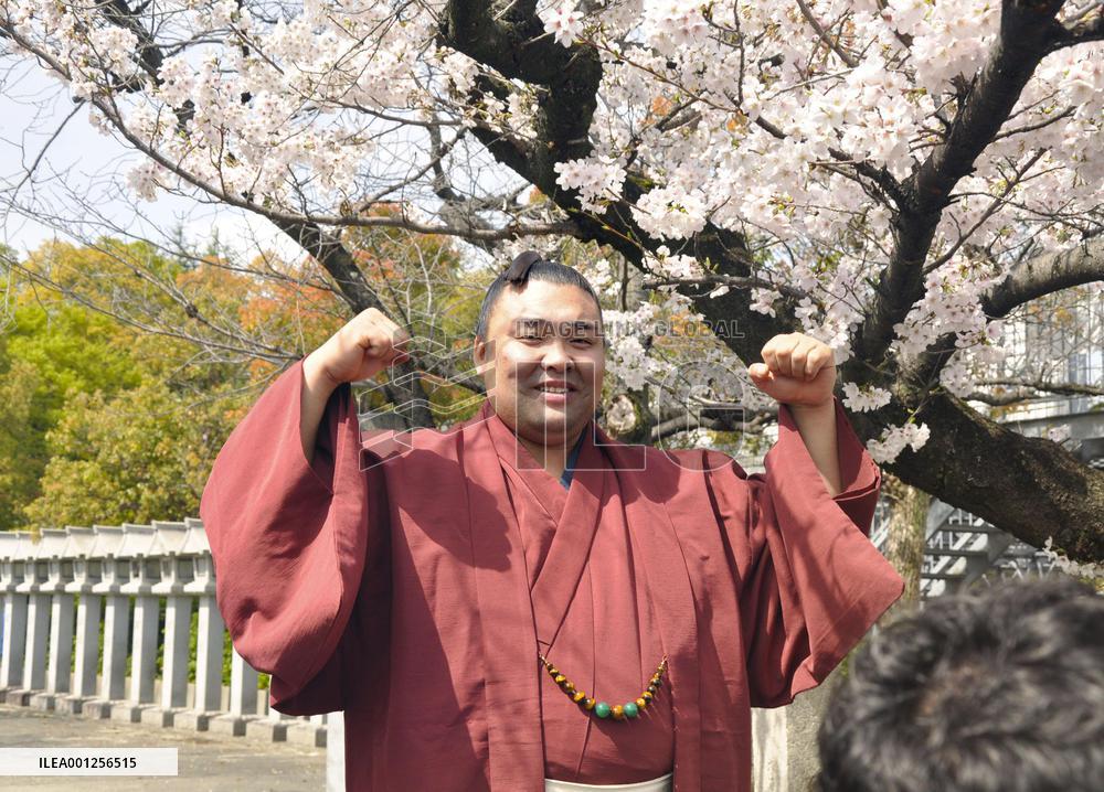 Sumo: Spring champion Kiribayama