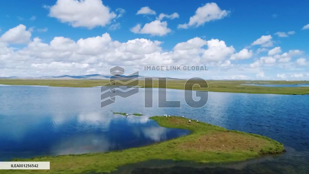 China's efforts in water conservation priceless: Turkish expert