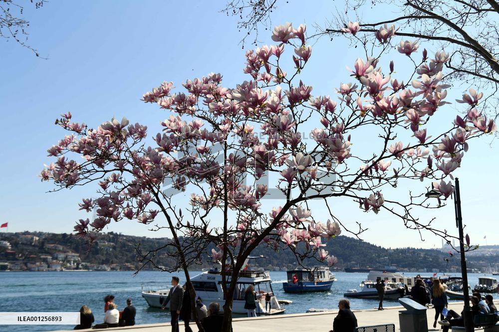 TÜRKIYE-ISTANBUL-SPRING