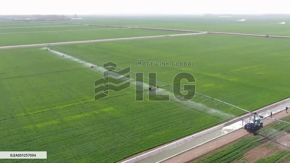 Smart farming brings vitality to agriculture in China's Henan