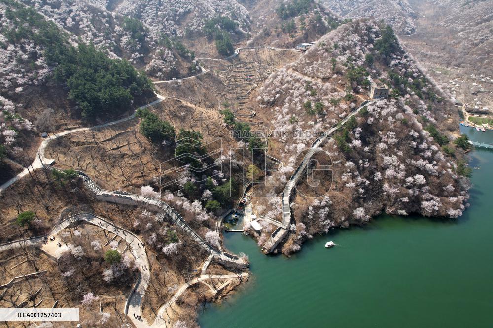 CHINA-BEIJING-GREAT WALL-VIEW (CN)