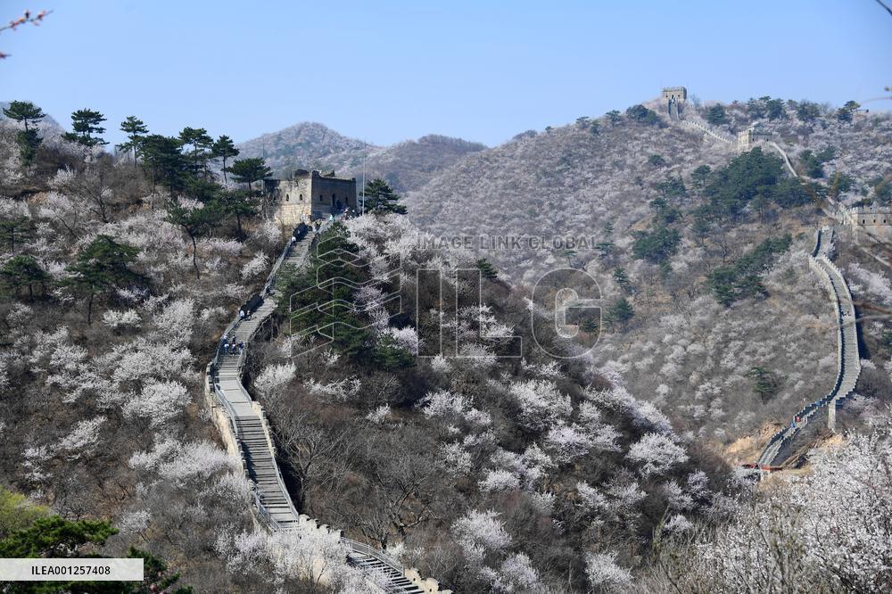 CHINA-BEIJING-GREAT WALL-VIEW (CN)