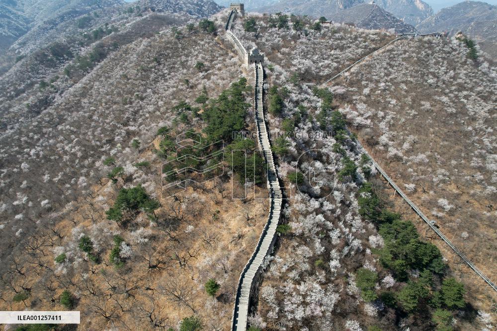 CHINA-BEIJING-GREAT WALL-VIEW (CN)