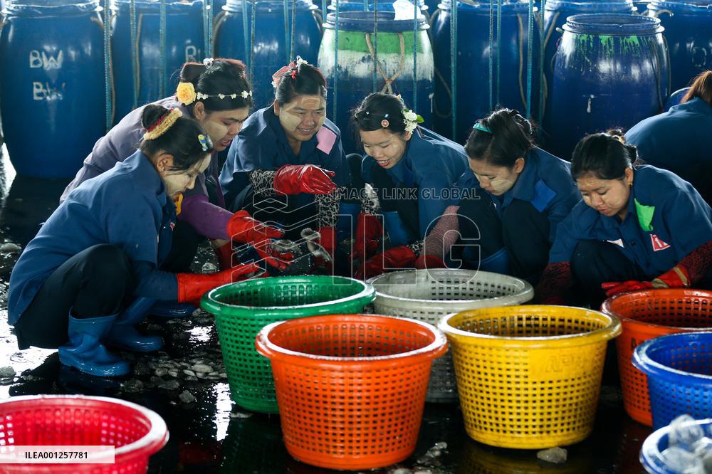 MYANMAR-YANGON-FISHING-BAN