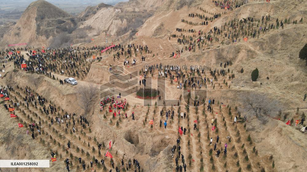 Xinhua Headlines: The Yellow River's winding tale of ecological protection, development