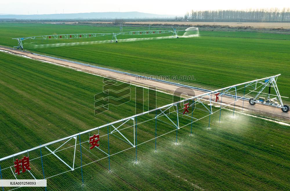 Xinhua Headlines: The Yellow River's winding tale of ecological protection, development
