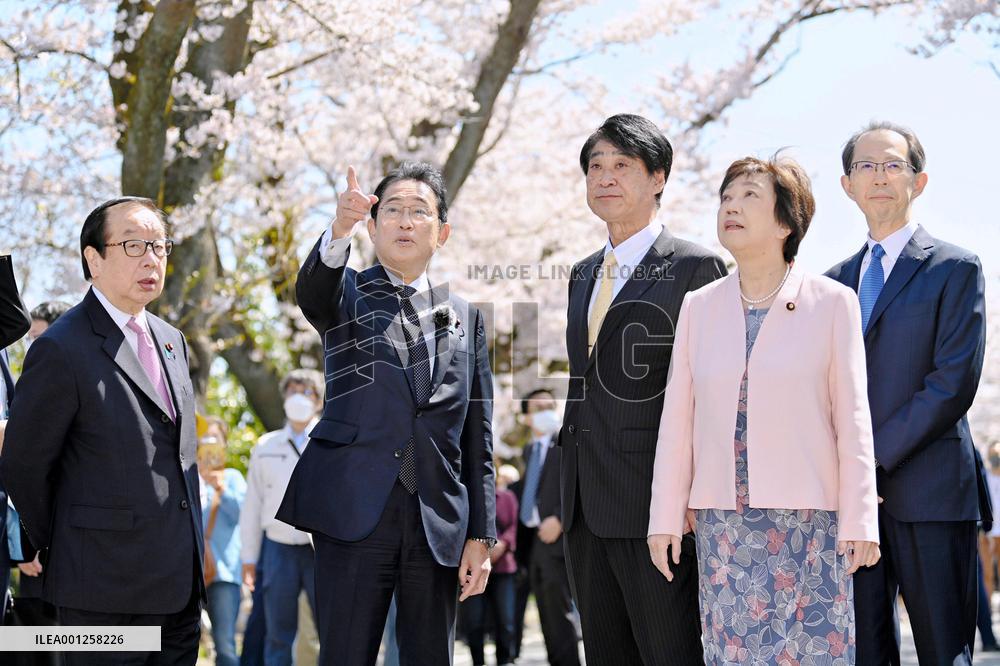 Japan PM Kishida views cherry blossoms in nuclear crisis-hit town