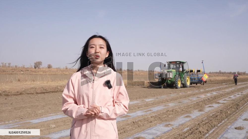 NW China's Xinjiang enters cotton sowing season