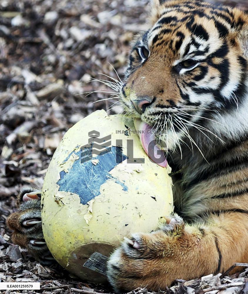 BRITAIN-LONDON-ZOO-EASTER-EGGS