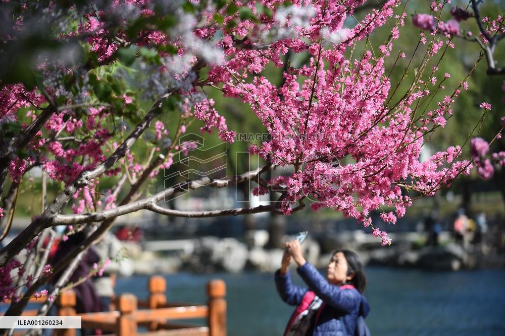 CHINA-BEIJING-PARK-SPRING (CN)