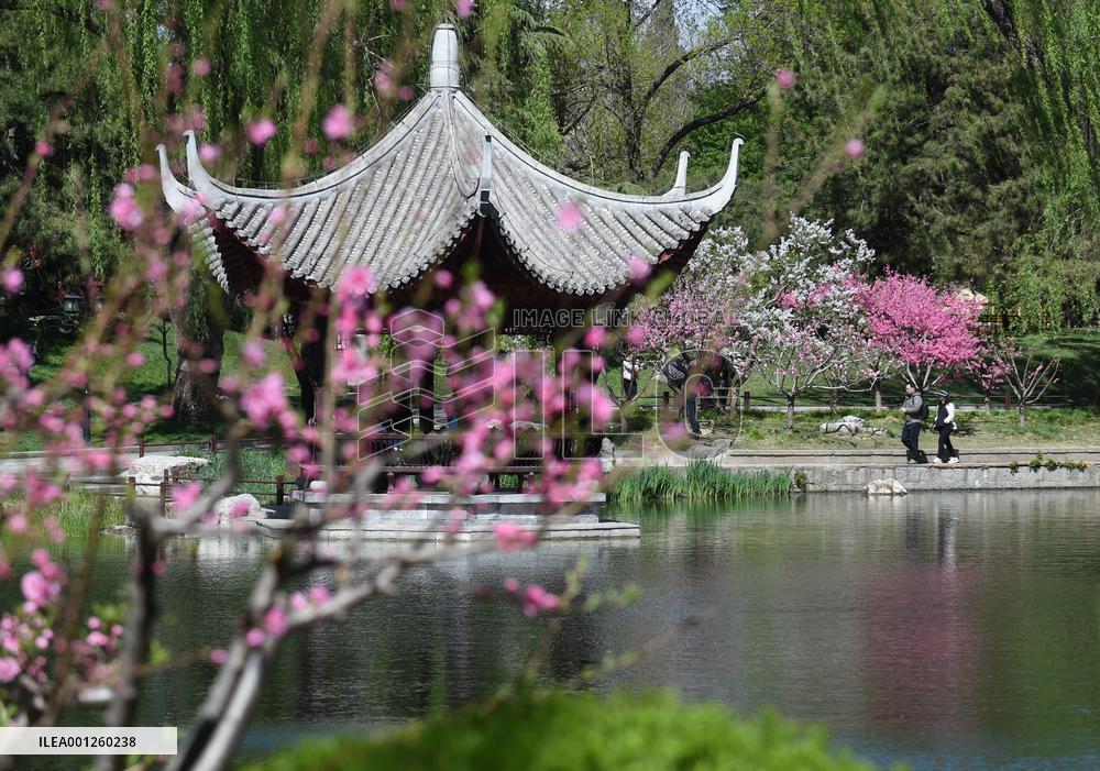 CHINA-BEIJING-PARK-SPRING (CN)