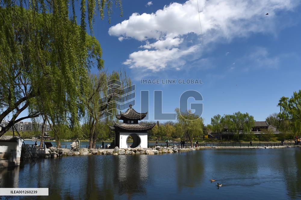 CHINA-BEIJING-PARK-SPRING (CN)
