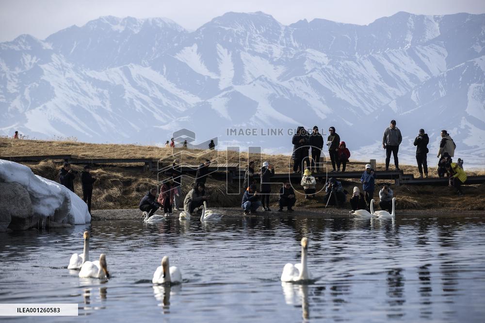CHINA-XINJIANG-SAYRAM LAKE-SCENERY (CN)