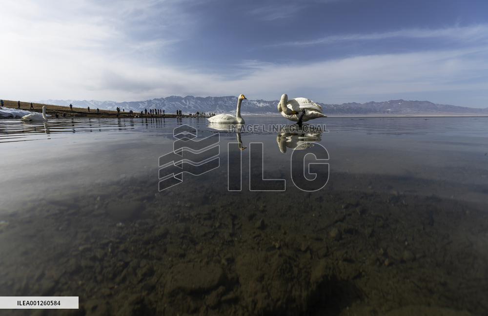CHINA-XINJIANG-SAYRAM LAKE-SCENERY (CN)