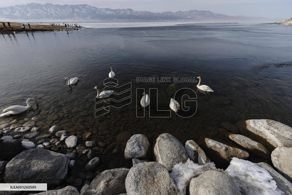 CHINA-XINJIANG-SAYRAM LAKE-SCENERY (CN)