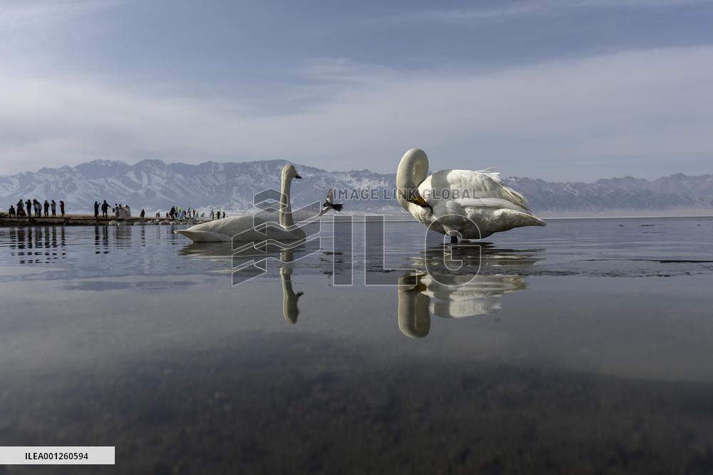 CHINA-XINJIANG-SAYRAM LAKE-SCENERY (CN)