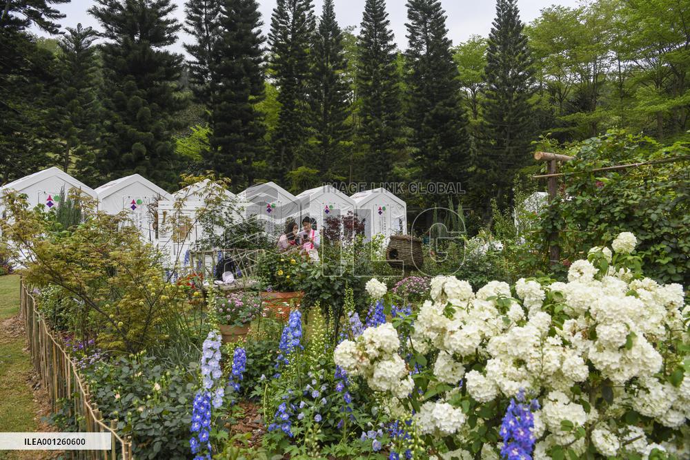 CHINA-SHENZHEN-GREATER BAY AREA-FLOWER SHOW (CN)
