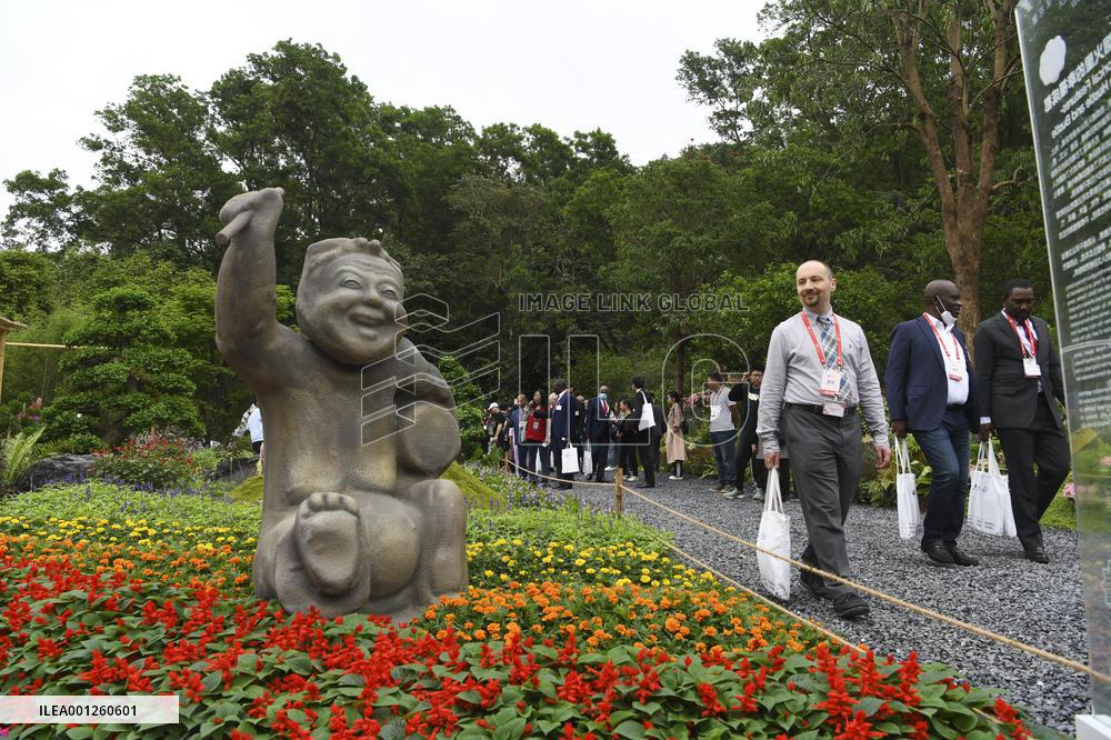 CHINA-SHENZHEN-GREATER BAY AREA-FLOWER SHOW (CN)