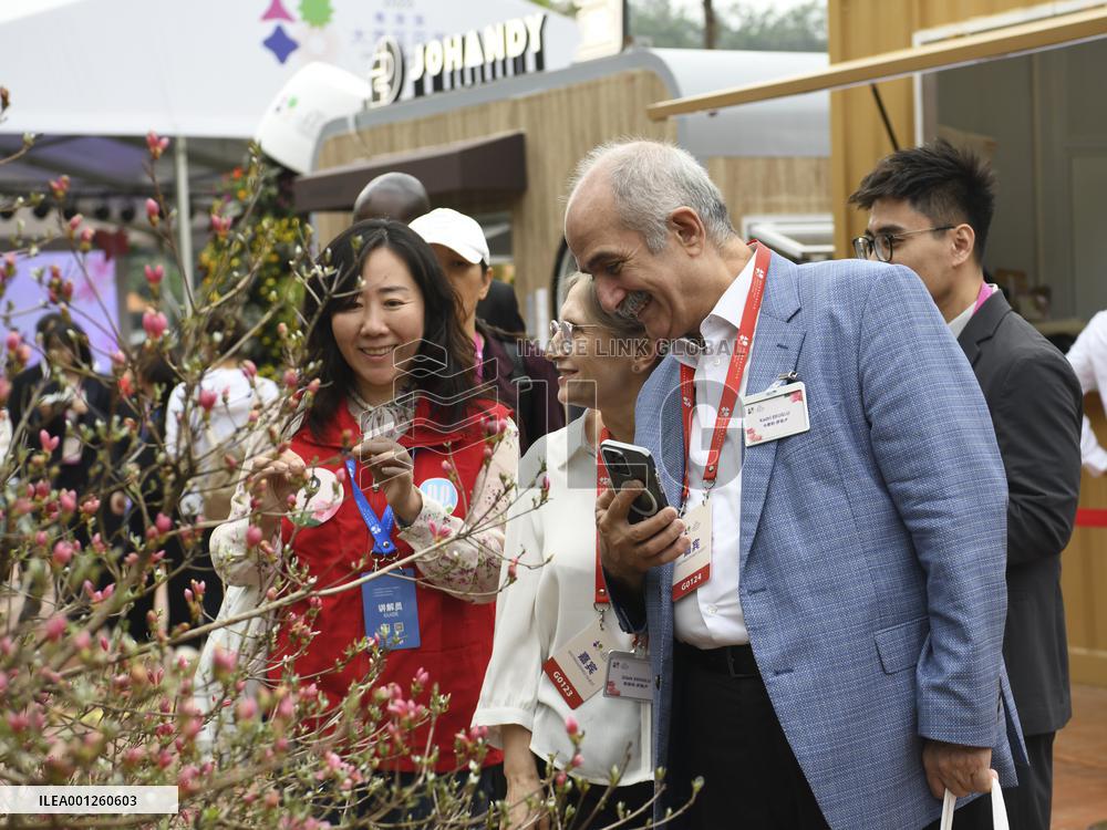 CHINA-SHENZHEN-GREATER BAY AREA-FLOWER SHOW (CN)