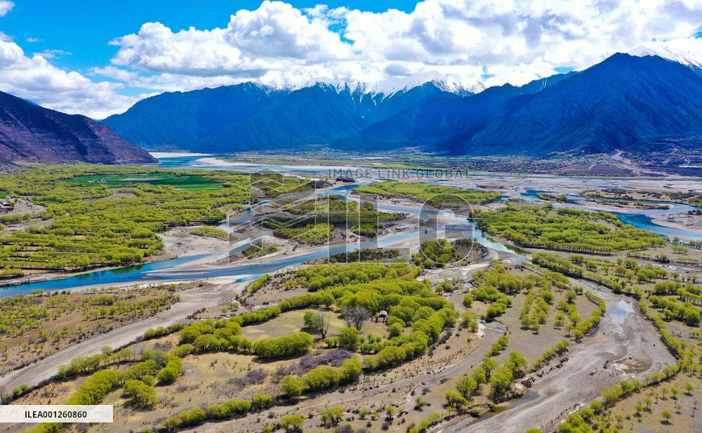 CHINA-TIBET-NYINGCHI-YANI NATIONAL WETLAND PARK-SCENERY(CN)