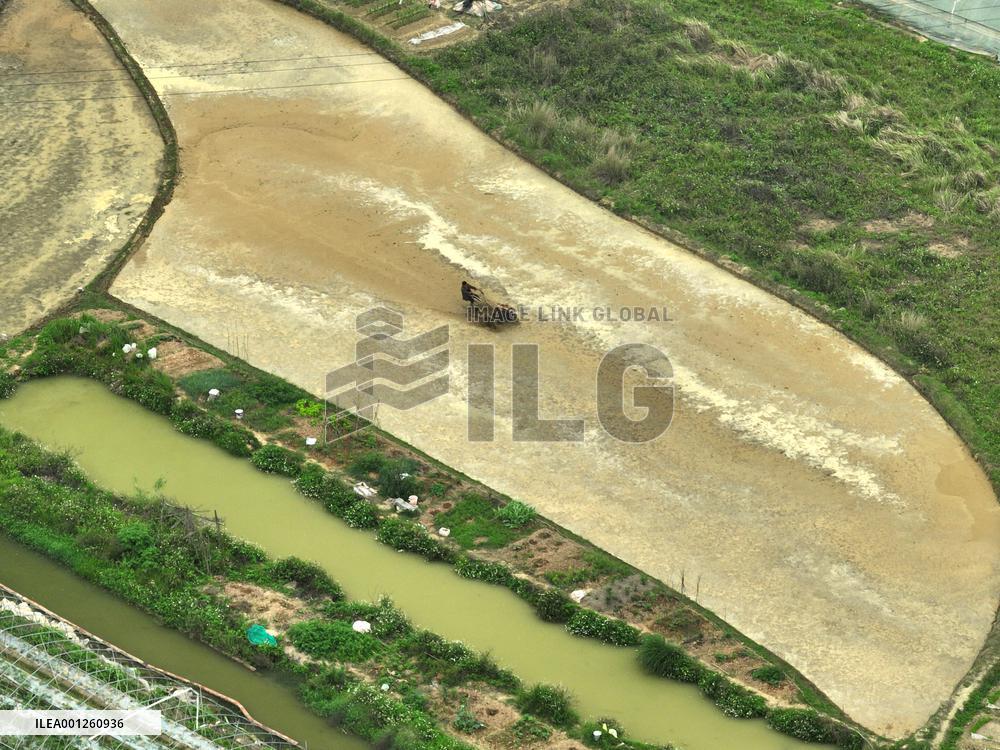 CHINA-SPRING-FARMING (CN)
