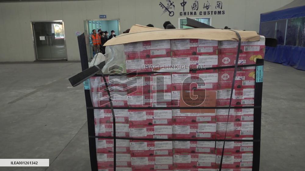 China imports Ecuadorian pitaya for first time