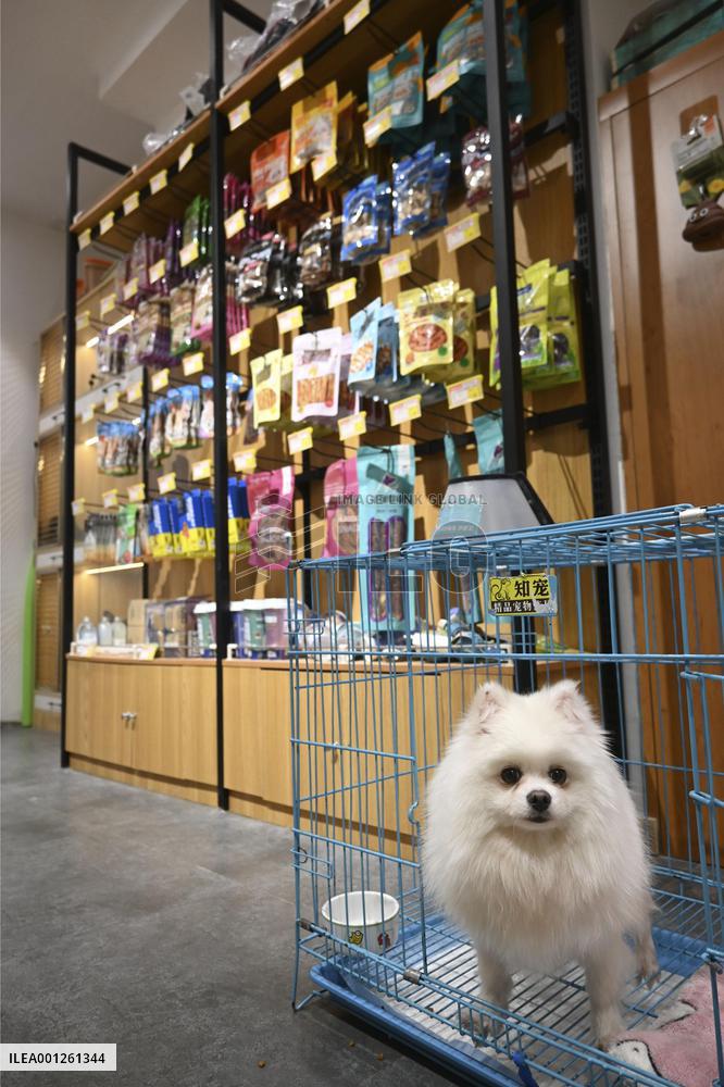 China's booming pet market