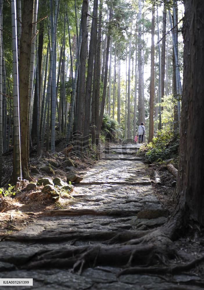 Japan's Kumano Kodo pilgrimage path