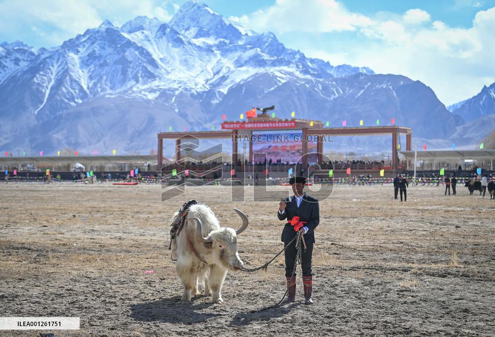 (SP)CHINA-XINJIANG-TAXKORGAN-SPORT-GOAT-GRABBING GAME(CN)