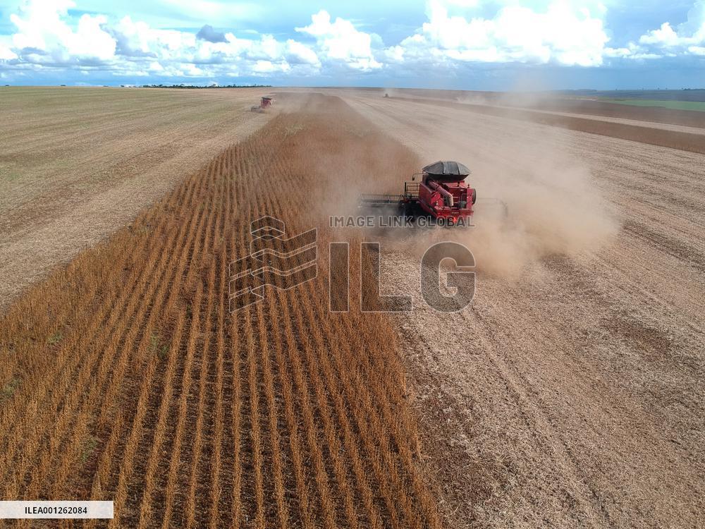 BRAZIL-GOIAS-SOYBEAN HARVEST