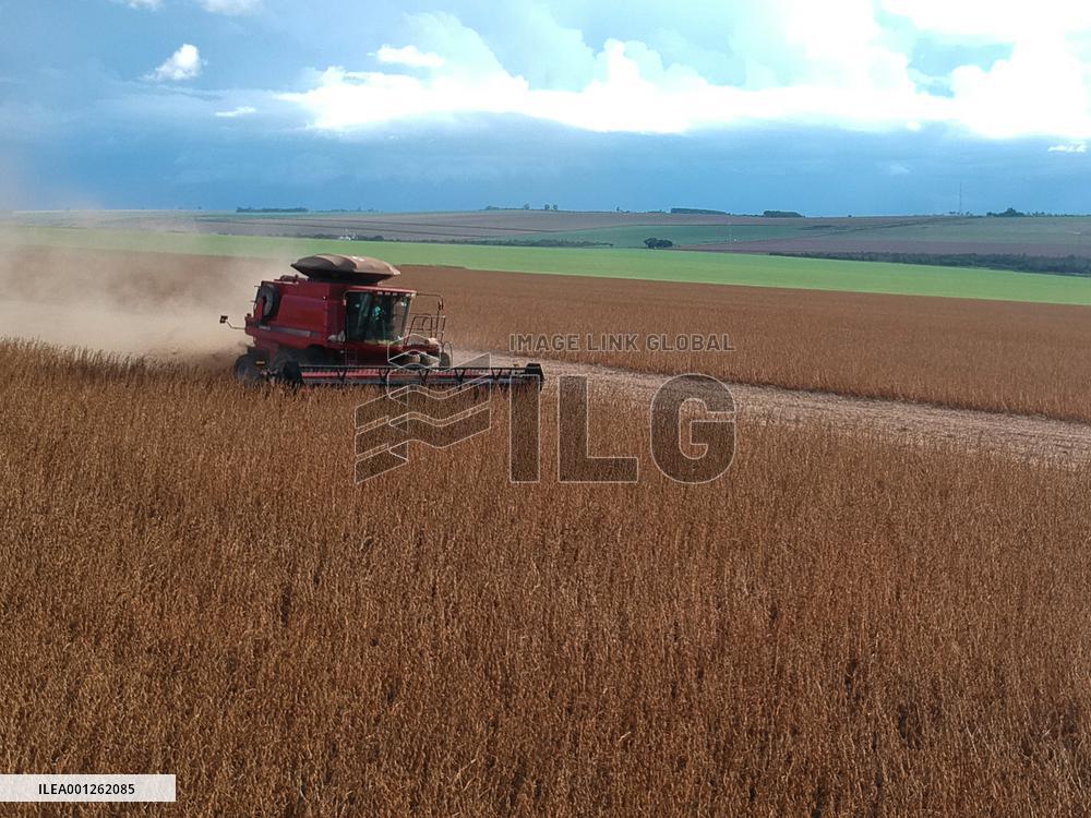 BRAZIL-GOIAS-SOYBEAN HARVEST