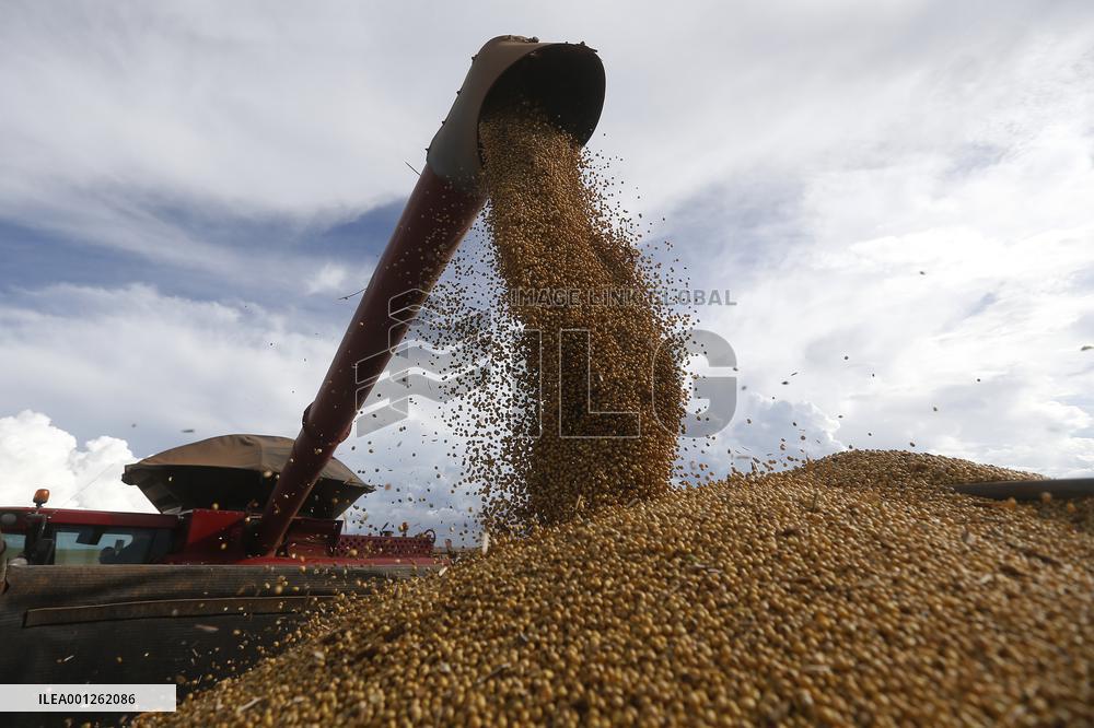 BRAZIL-GOIAS-SOYBEAN HARVEST