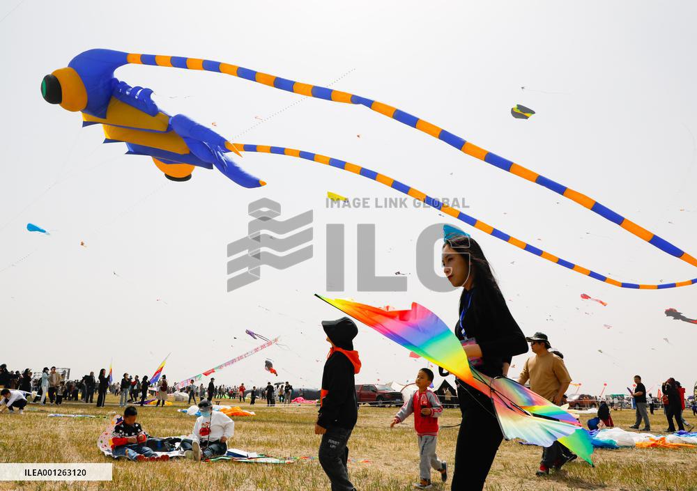 #CHINA-SHANDONG-WEIFANG-KITE FESTIVAL (CN)