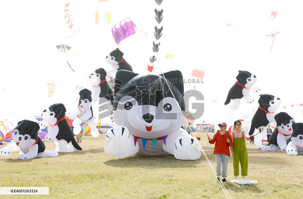 #CHINA-SHANDONG-WEIFANG-KITE FESTIVAL (CN)
