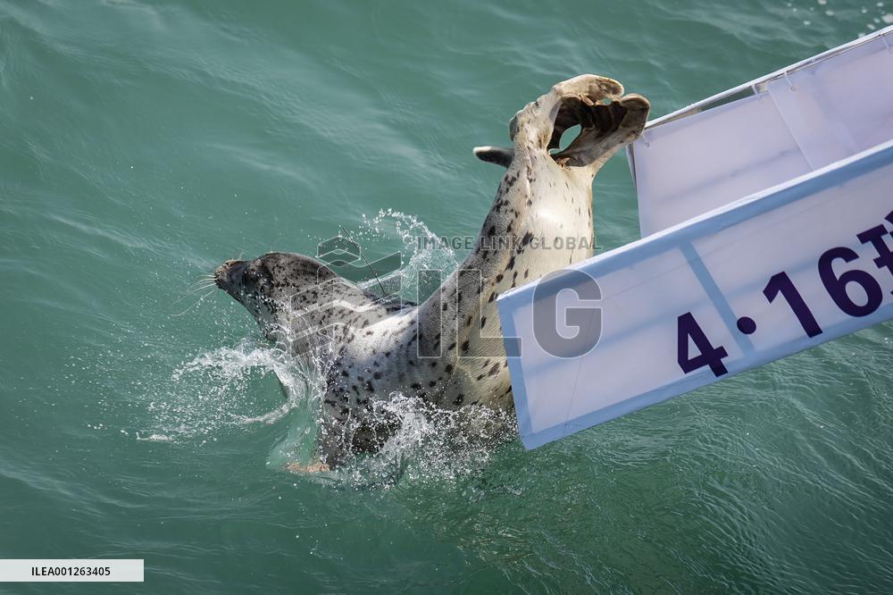 CHINA-LIAONING-DALIAN-SEAL-RELEASE (CN)
