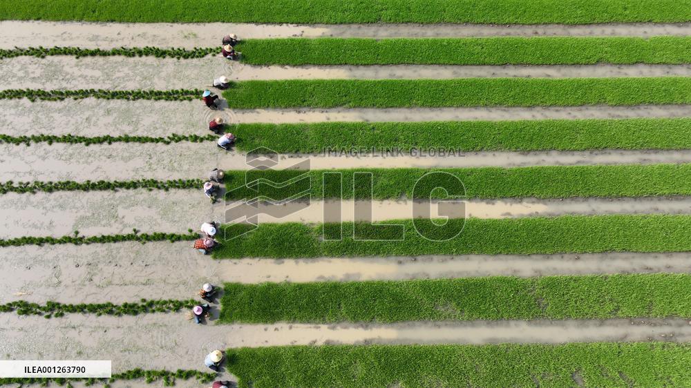 #CHINA-SPRING-FARMING (CN)