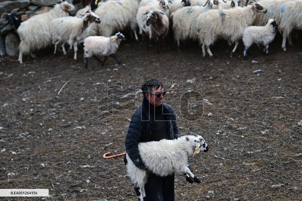 CHINA-QINGHAI-ECO-FRIENDLY ANIMAL HUSBANDRY (CN)