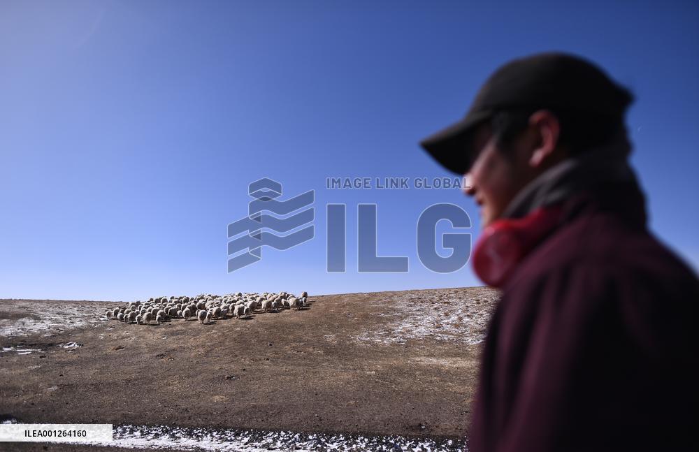 CHINA-QINGHAI-ECO-FRIENDLY ANIMAL HUSBANDRY (CN)