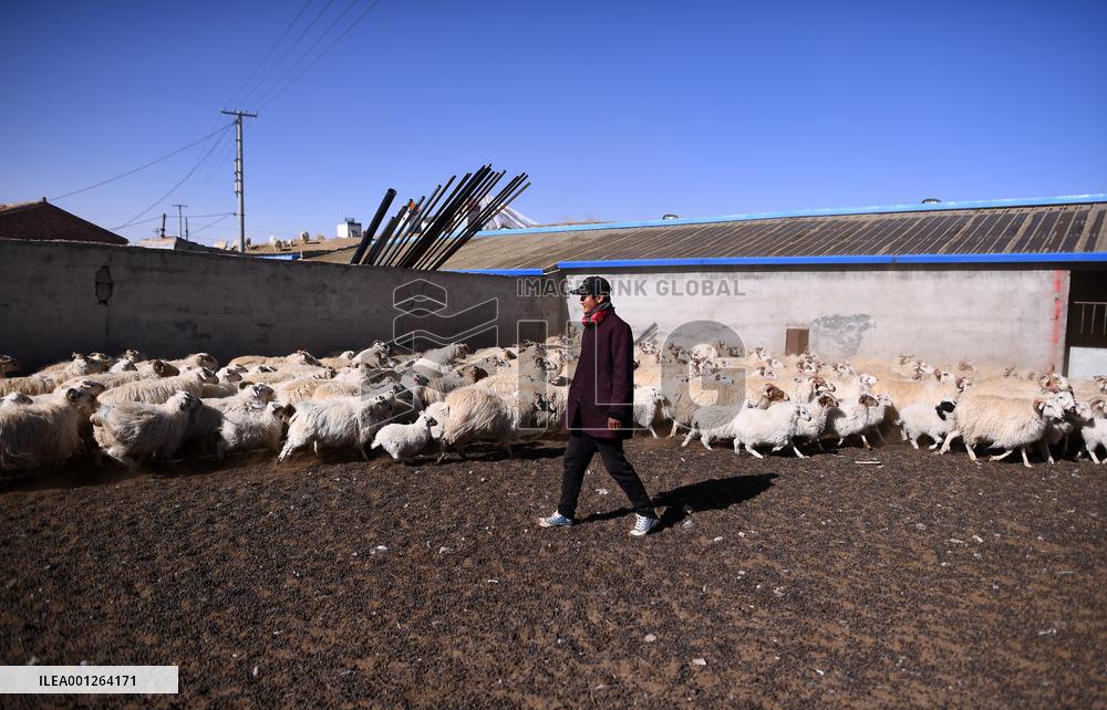 CHINA-QINGHAI-ECO-FRIENDLY ANIMAL HUSBANDRY (CN)