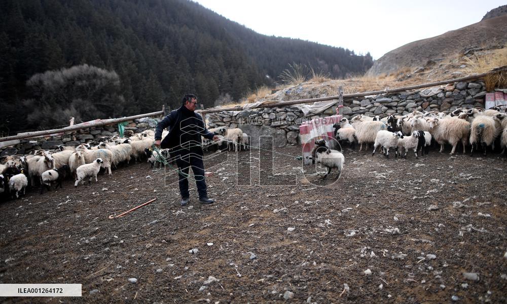 CHINA-QINGHAI-ECO-FRIENDLY ANIMAL HUSBANDRY (CN)