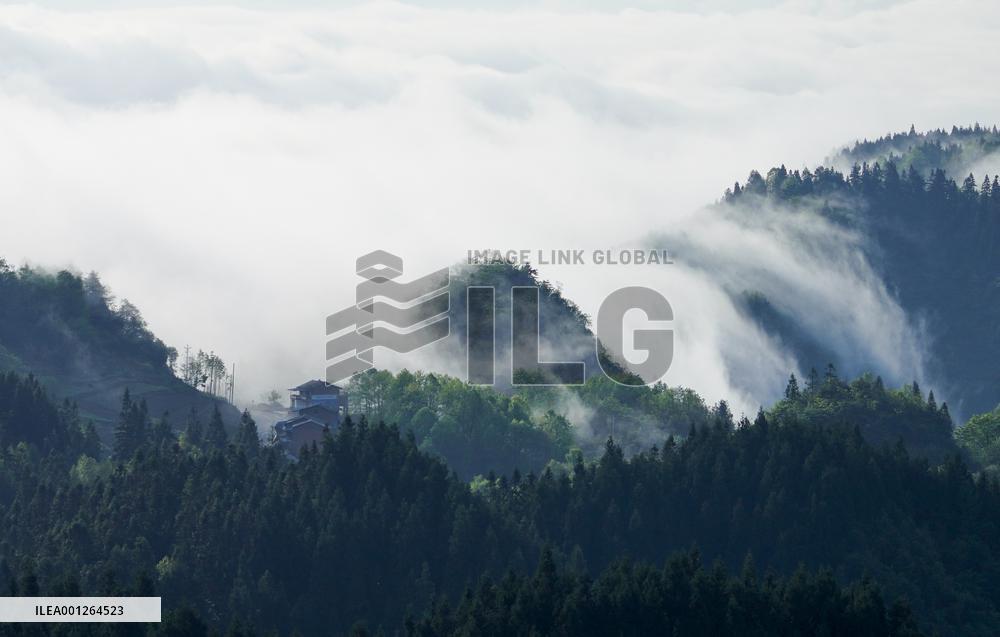 CHINA-CHONGQING-JINFO MOUNTAIN-SCENERY (CN)