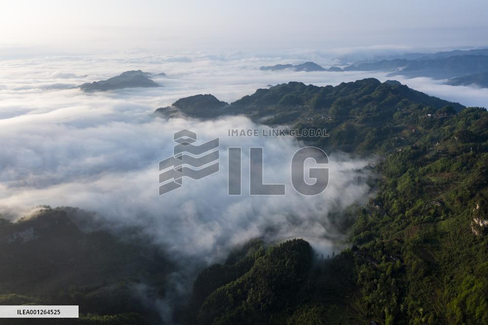 CHINA-CHONGQING-JINFO MOUNTAIN-SCENERY (CN)