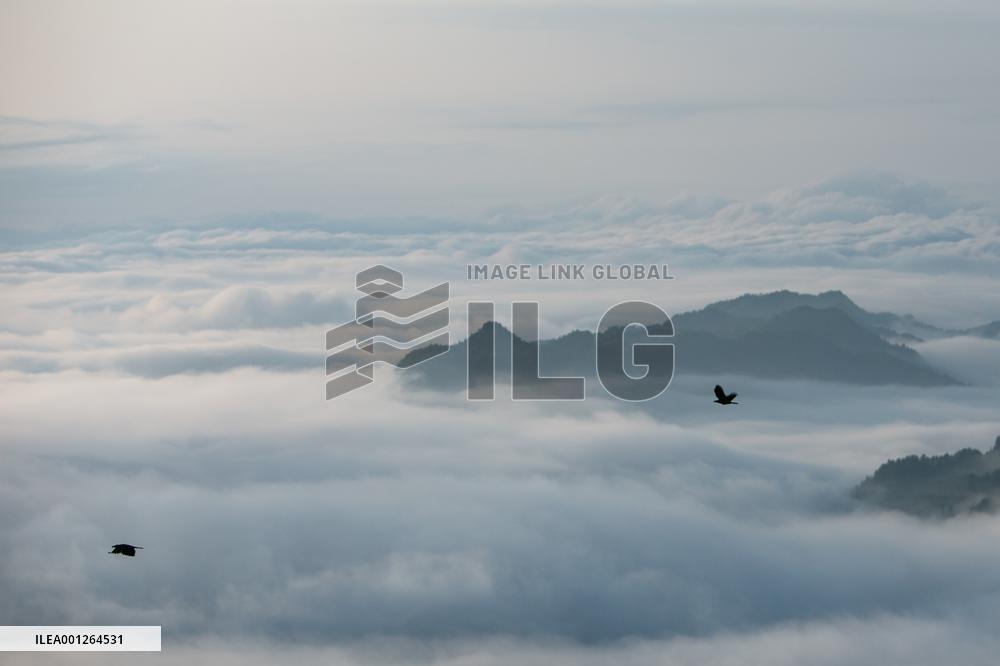 CHINA-CHONGQING-JINFO MOUNTAIN-SCENERY (CN)