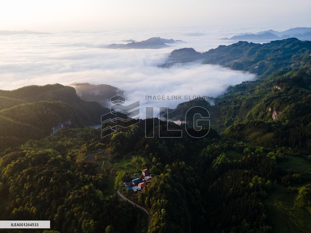 CHINA-CHONGQING-JINFO MOUNTAIN-SCENERY (CN)